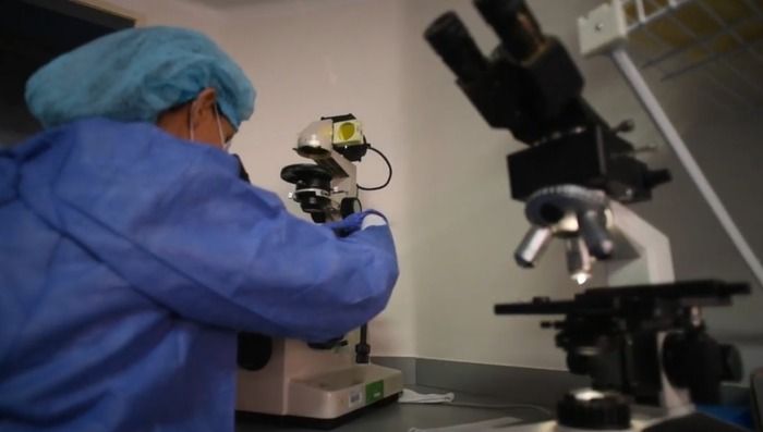 Universidad del Valle amplía capacidad de laboratorio para procesamiento de pruebas de coronavirus