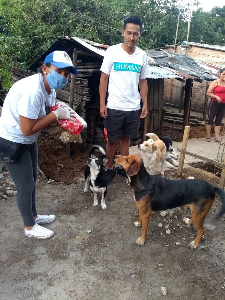Avanzan acciones de la Oficina de Protección Animal en Popayán