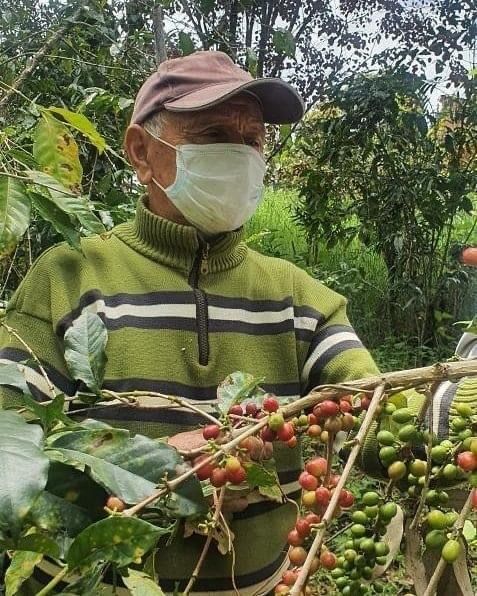 Conozca el protocolo de seguridad del Plan Cosecha Segura para cafeteros