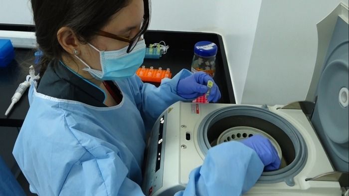 Valle del Cauca recibirá un robot que será entregado por el Instituto Nacional de Salud para agilizar el procesamiento de pruebas COVID