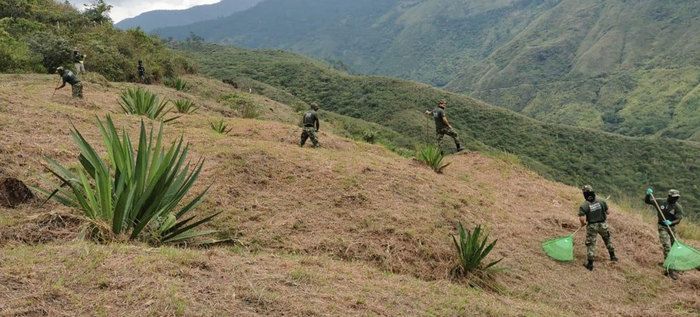 Cali se prepara para proteger su patrimonio natural en la temporada de vientos y sequía