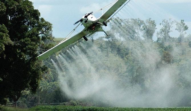 Dieron vía libre desde un Juzgado de Nariño a la fumigación aérea con glifosato