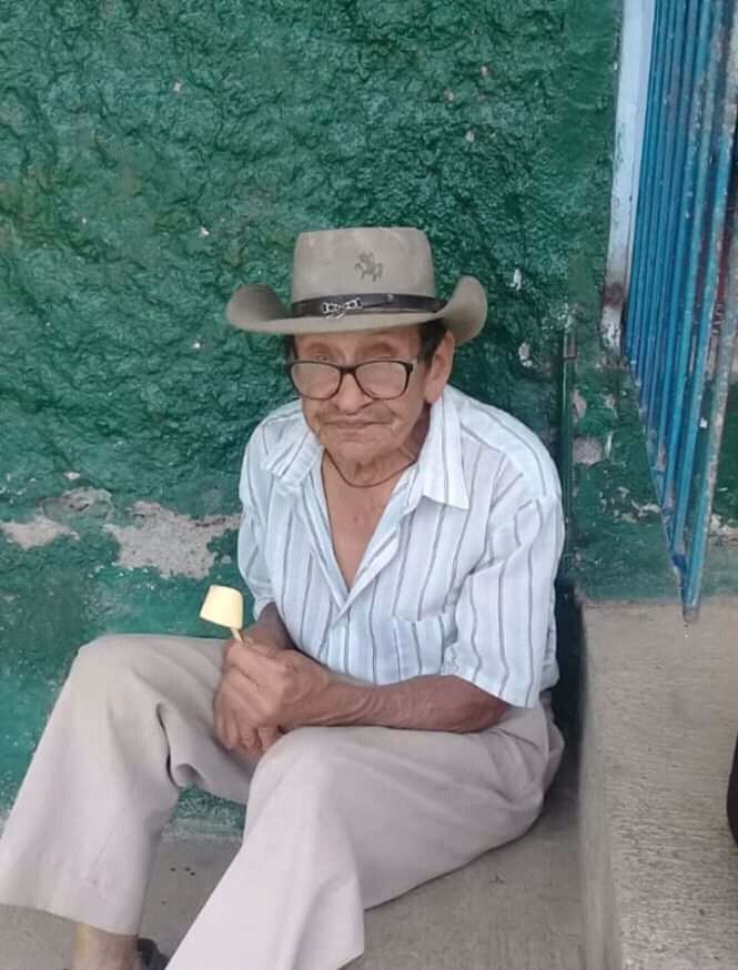 Bolívar: abuelo murió en medio de un ataque de abejas