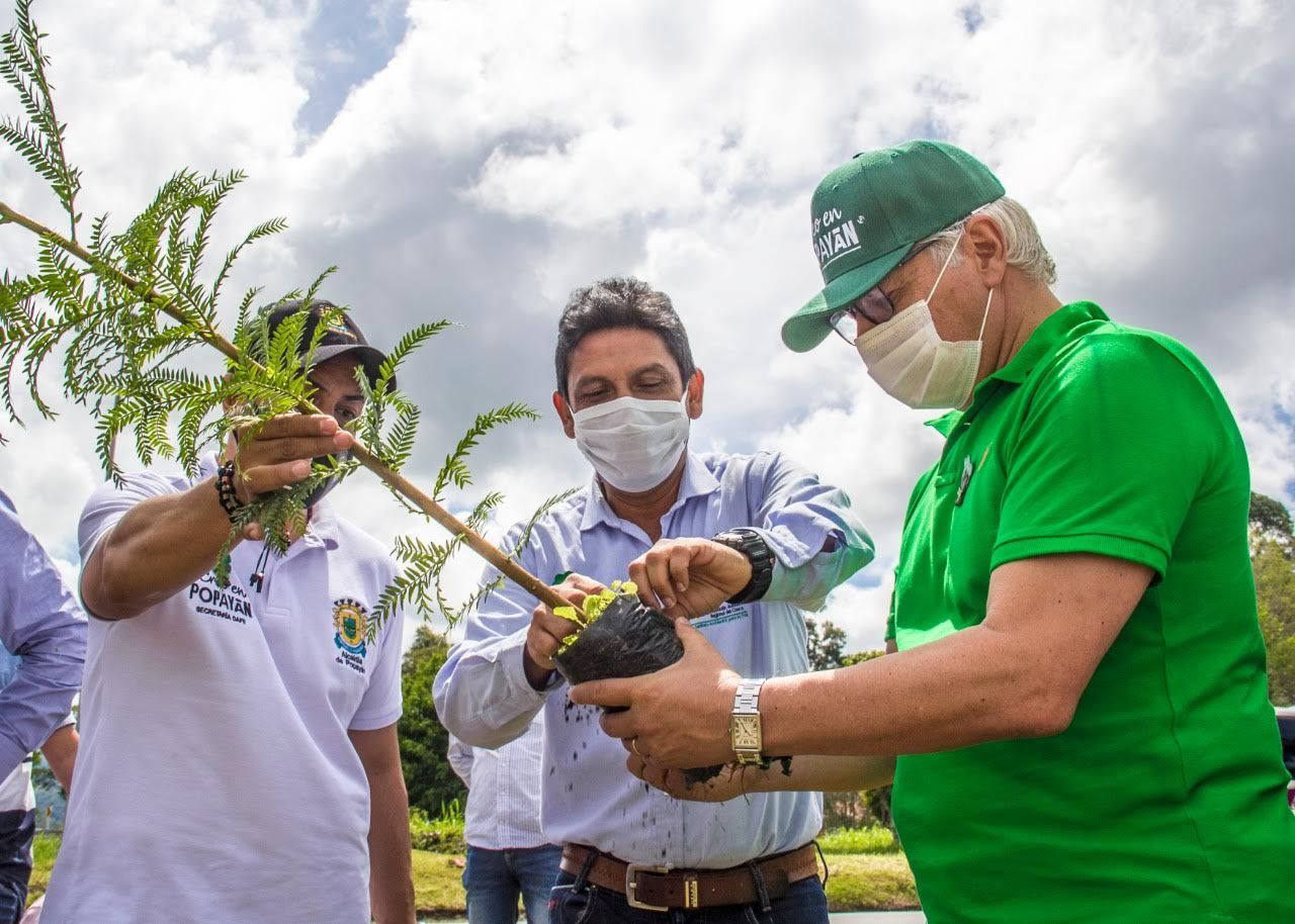 Meta cumplida, el programa “Mi árbol y Yo” de la Alcaldía de Popayán, sembró el árbol 50 mil en menos de un año