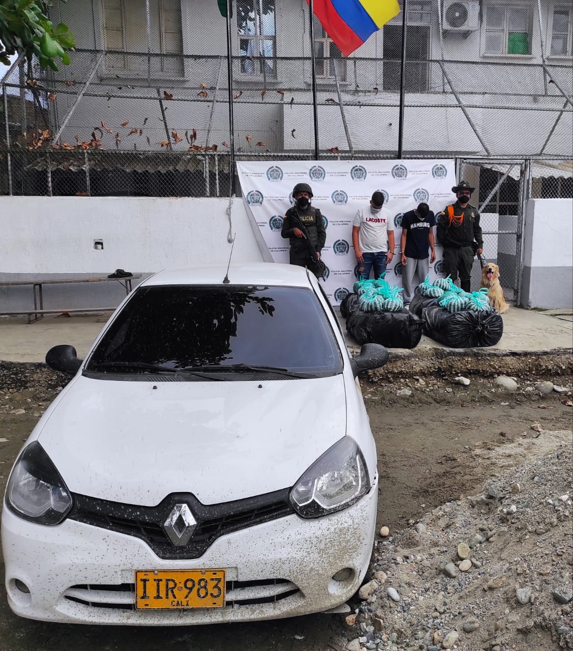 Confirman la captura de dos personas que movilizaban, en un carro,  amplio cargamento de marihuana