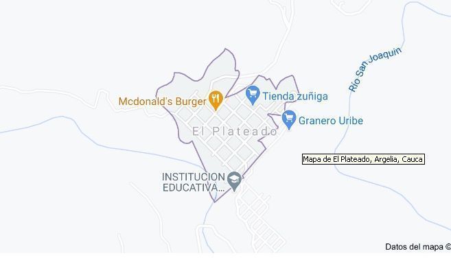 Dos personas fueron asesinadas en el corregimiento de El Plateado, Argelia
