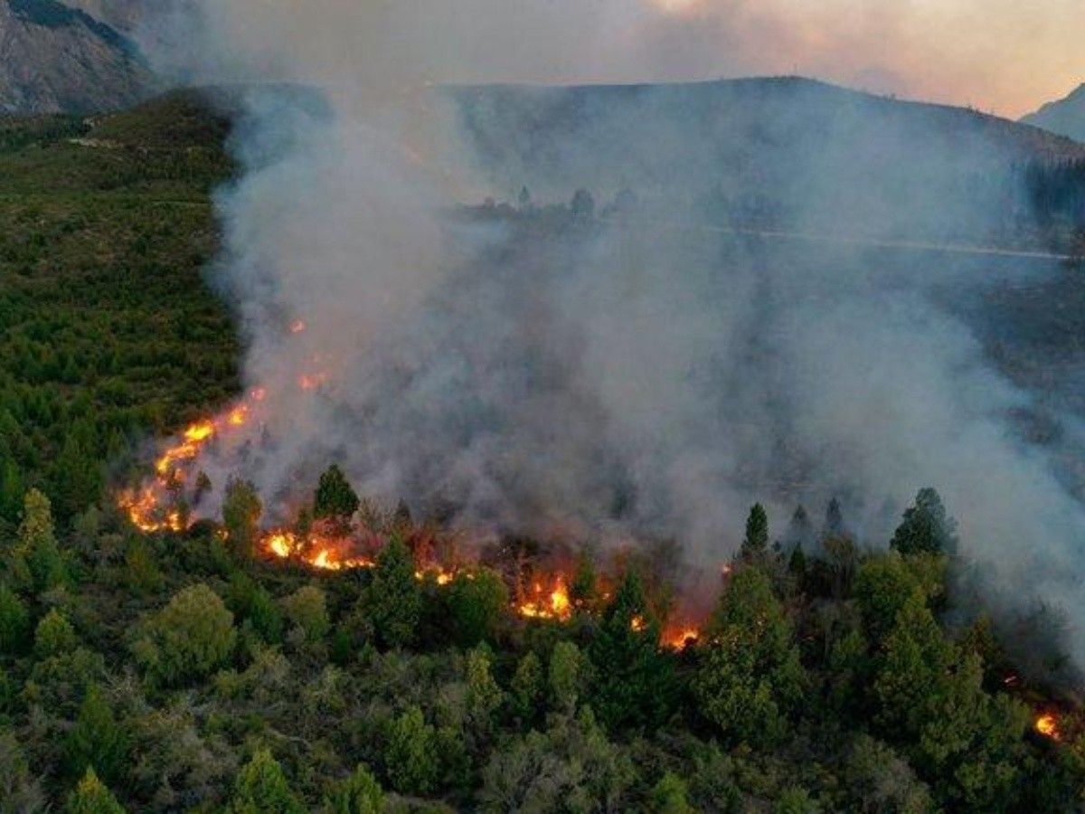 Incendio forestal acaba con 6.500 hectáreas de bosque Argentino