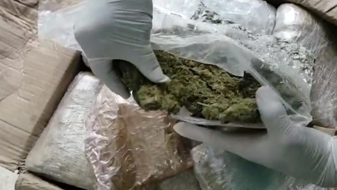 Incautan media tonelada de marihuana en la vía Caloto-Santander de Quilichao