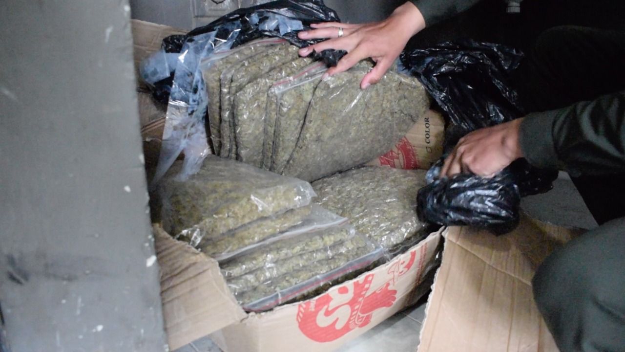 Escondía casi 18 kilos de marihuana en caja de encomiendas