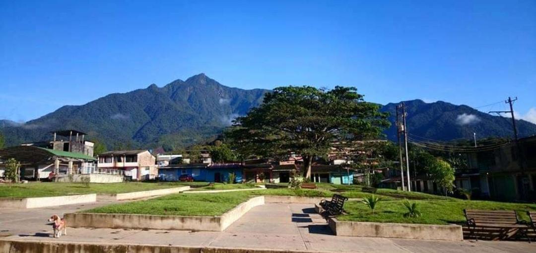 Hallaron cadáver en bocatoma en zona rural de Argelia, Cauca