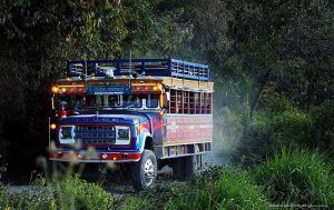 ff77692775efa1e3a27dffe4268caac0 - Meridiano Regional