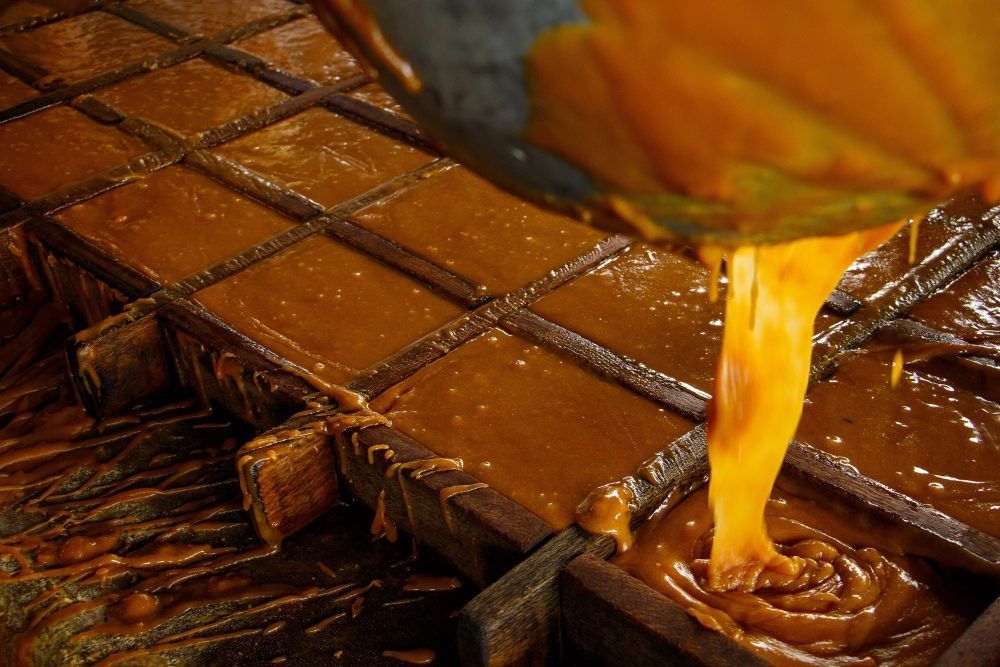 En el Cauca se fortalece la productividad de la Panela