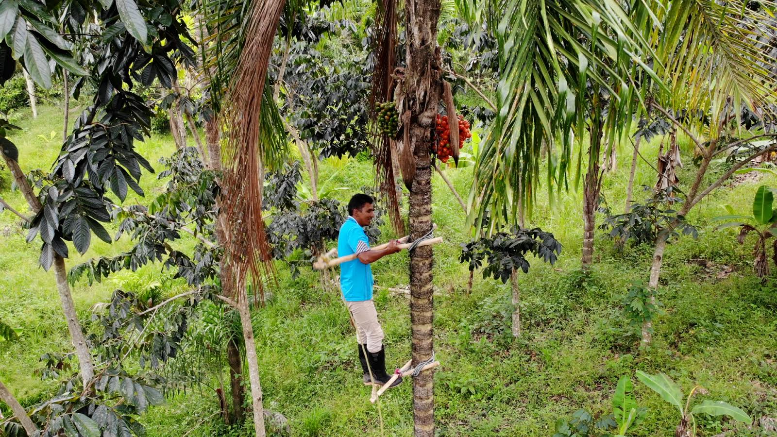 El Cauca, un socio y aliado estratégico de la Cooperación Internacional