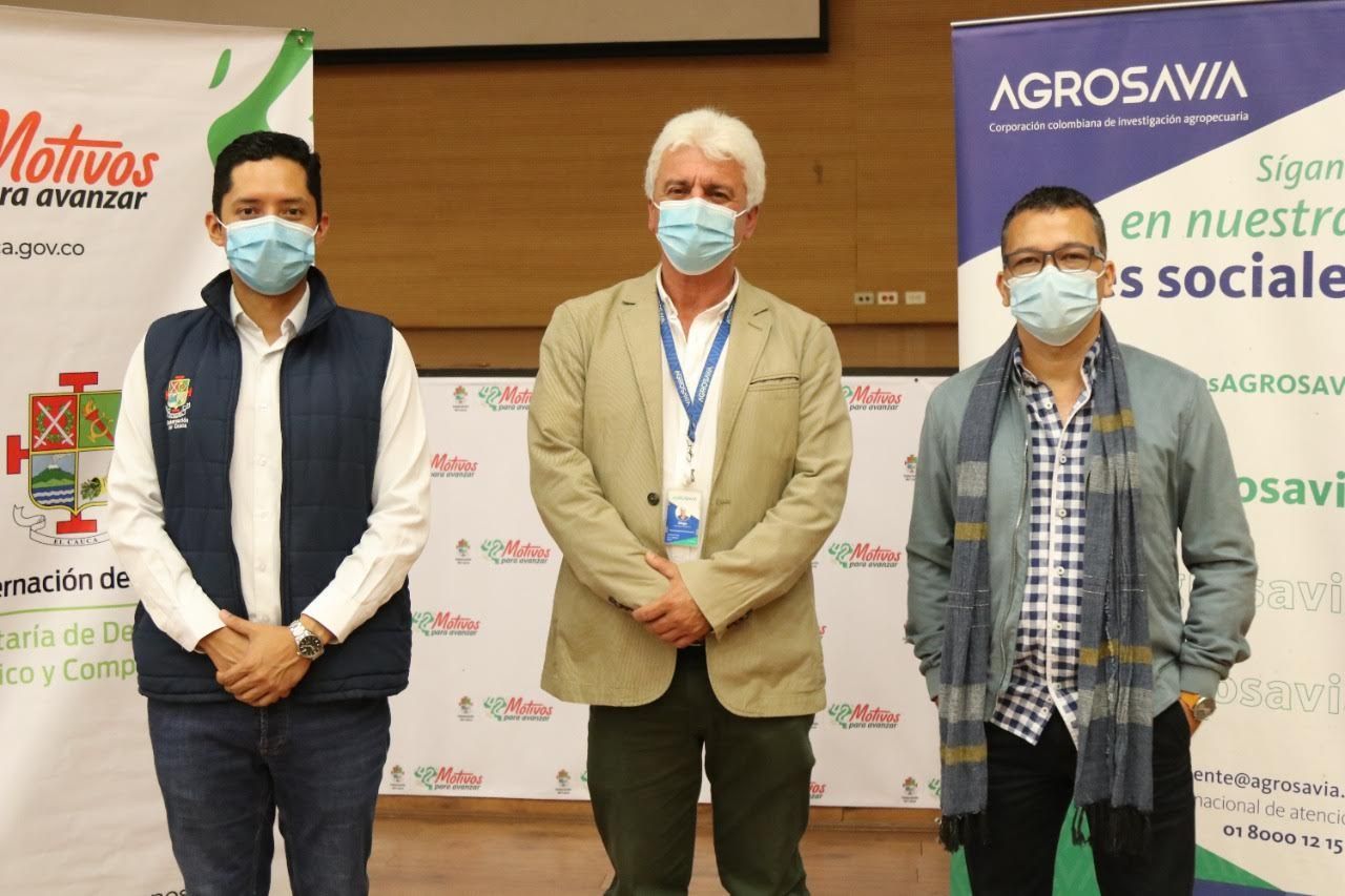 Gobierno Departamental mejorará productividad y calidad de exportación del Aguacate Hass en el Cauca.