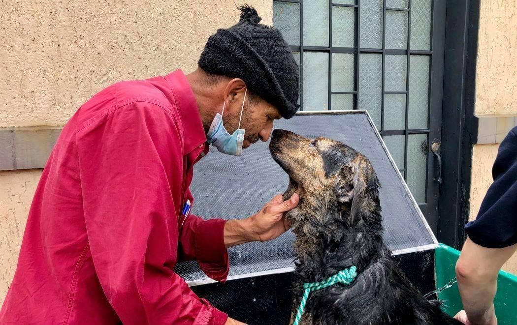 Mascotas de habitantes de calle tendrán atención veterinaria por parte de Alcaldía de Cali