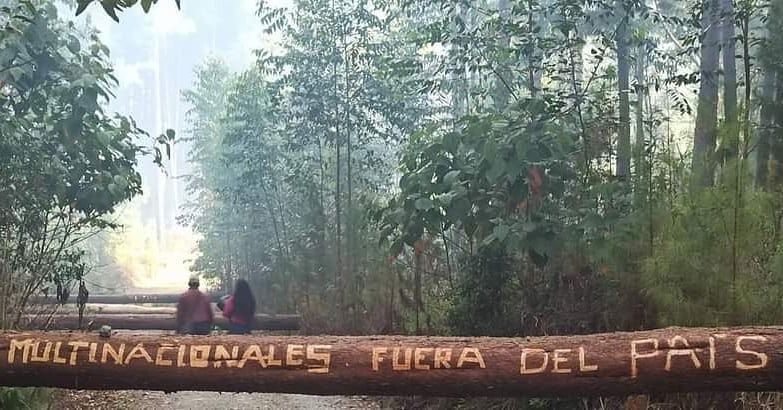 Varios heridos en medio de confrontaciones entre comunidades y fuerza pública en Cajibio Cauca
