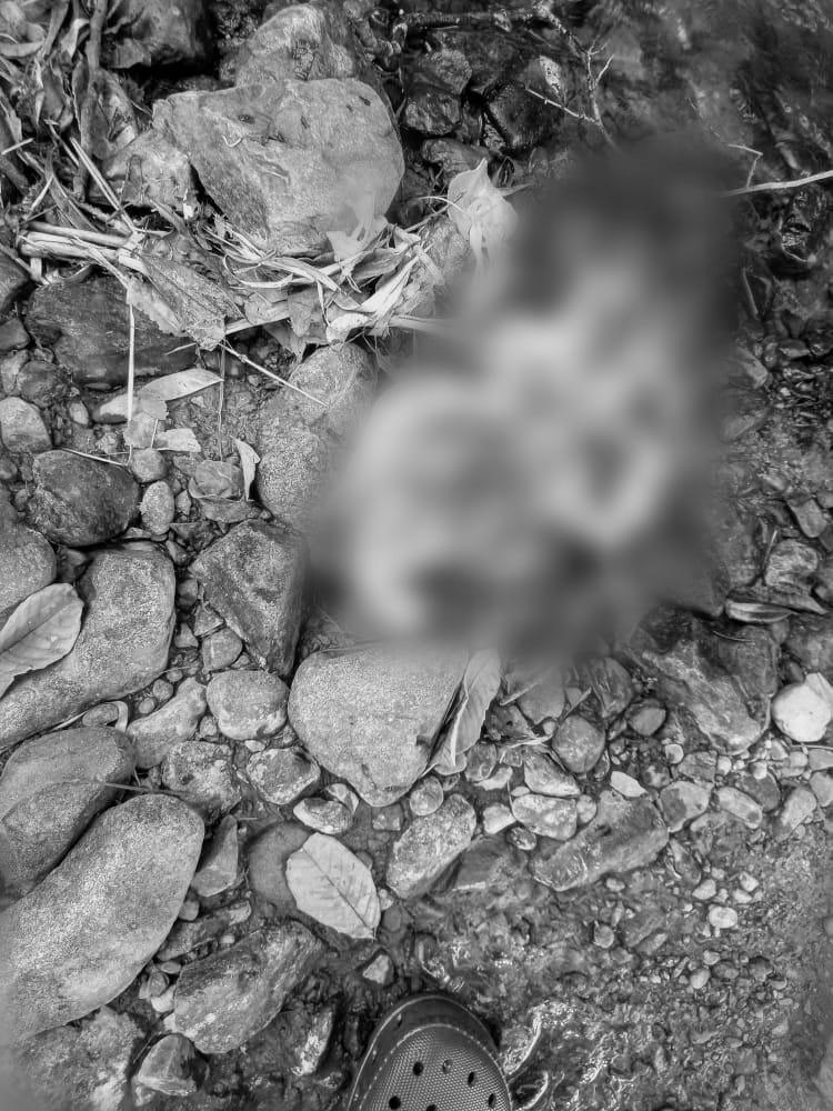 Bebé fue hallado sin cabeza en zona rural de Caloto