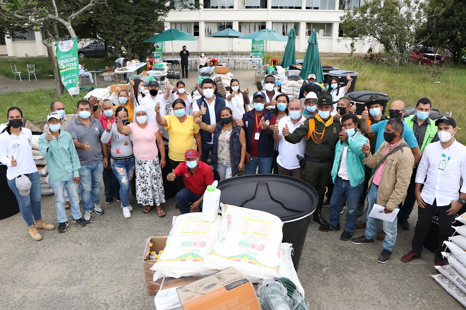 5.300 millones para el fortalecimiento de la cadena del aguacate hass en el cauca
