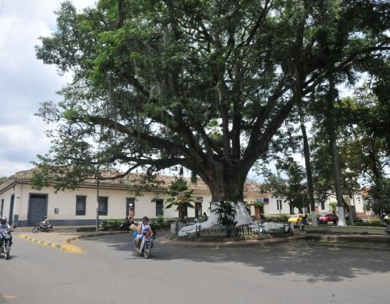 Caso de un niño muerto por vacuna, un caso de irresponsabilidad en redes sociales
