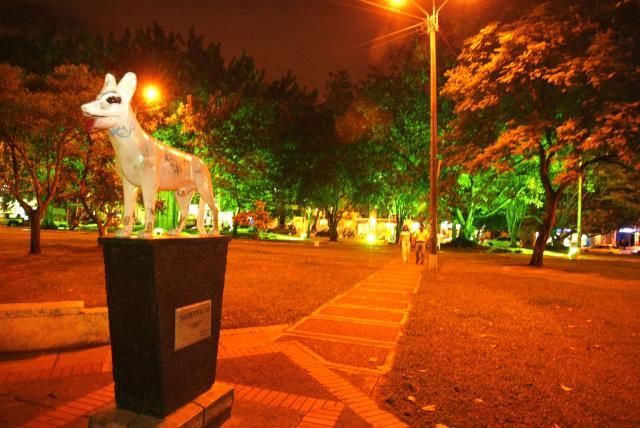 En Cali Policía investiga robo en restaurante ubicado en el Parque del perro