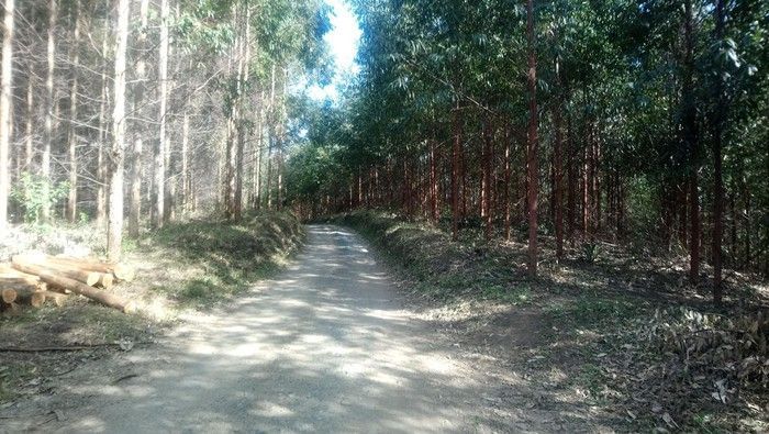 Peligro para los deportistas; delincuentes se adueñaron de La Torre y asaltan a cualquier hora del día