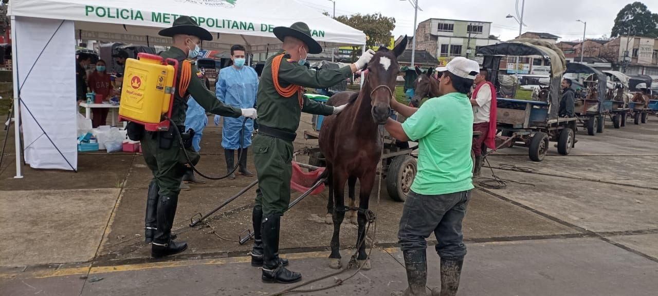La Policía Metropolitana de Popayán realizó una jornada de bienestar animal