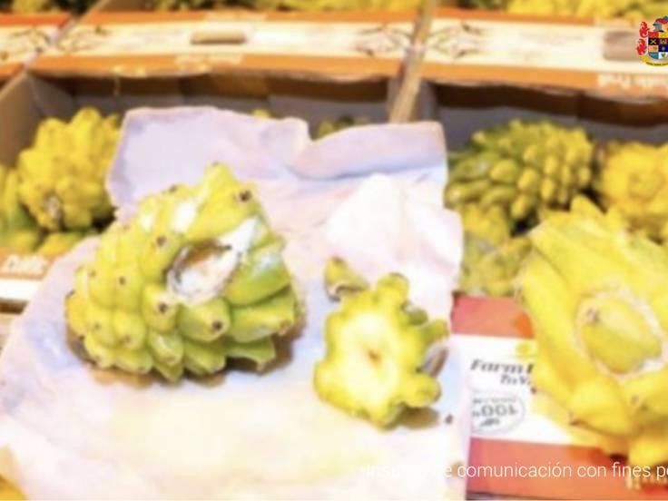 A la cárcel alias ‘Gavilán’, señalado articulador de una red narcotraficante que ocultaba cocaína entre pitaya y otras frutas para enviarla a China