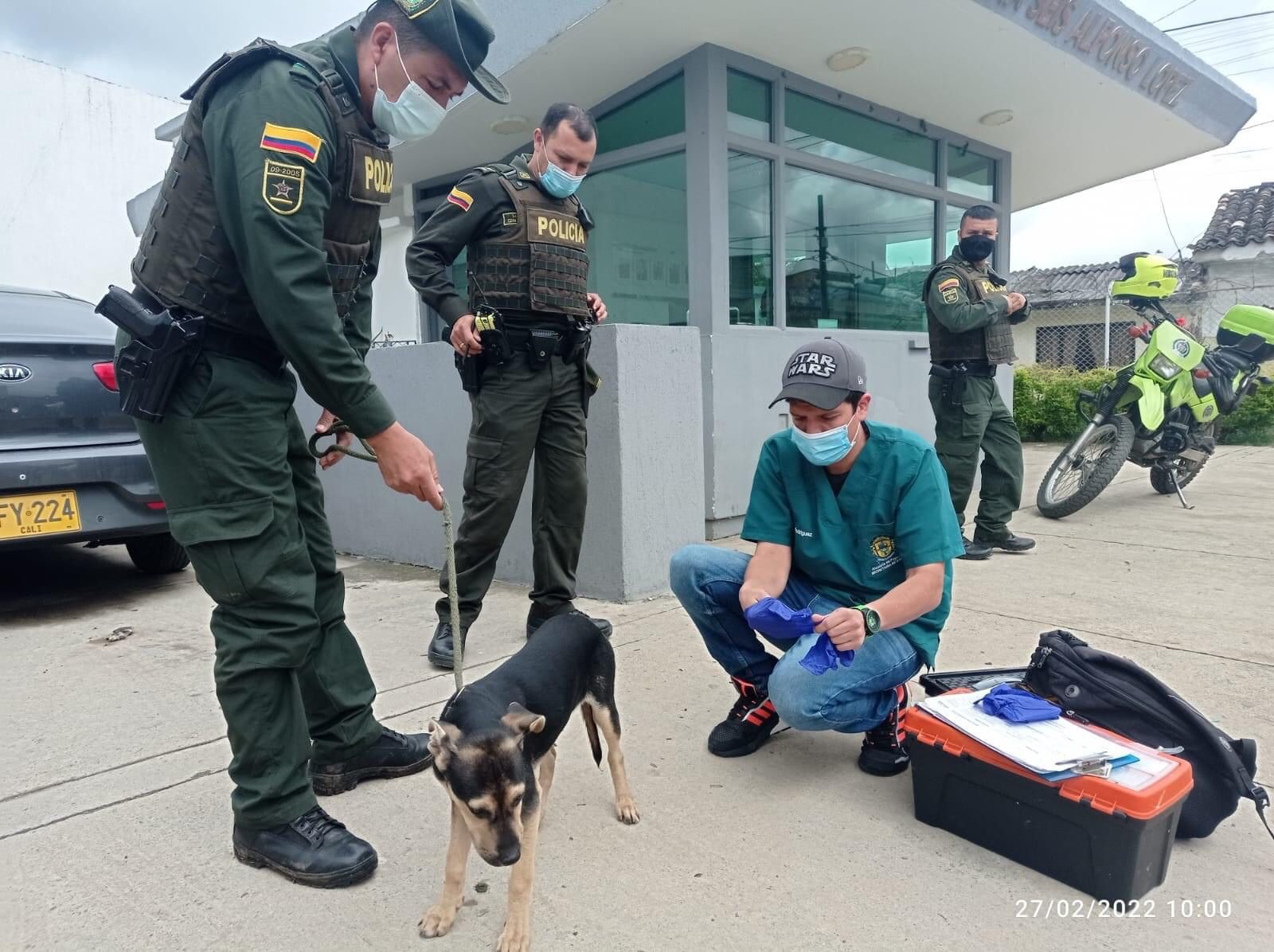 En Popayán un hombre fue capturado por presunto maltrato animal
