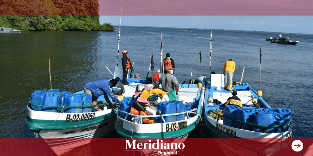 Incautadas 1.6 toneladas de pesca transportadas ilegalmente en el pacífico nariñense