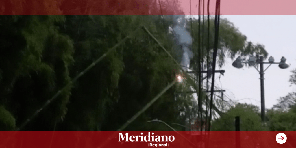 Fuertes lluvias ocasionaron la caída de árboles sobre la infraestructura eléctrica en el norte de Popayán