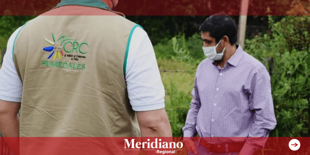 CRC continua con acciones de conservación en humedales del Cauca