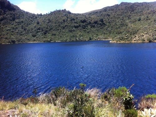 41 indígenas estuvieron más de 12 horas extraviados en un páramo en el Cauca