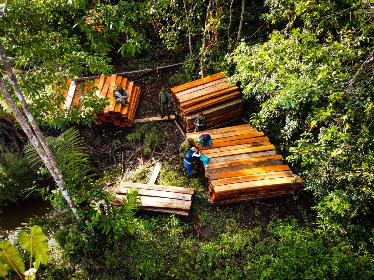 En el pacífico colombiano se llevó a cabo importante decomiso de madera ilegal