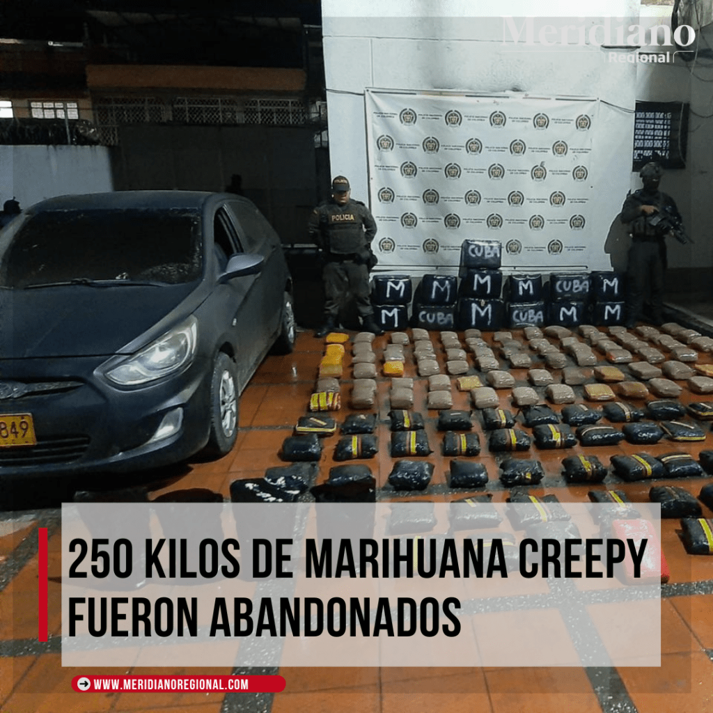 marihuana puerto tejada - noticias - meridiano regional - meridiano noticias