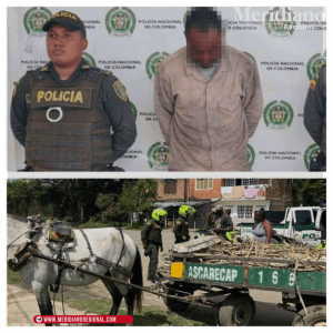 Capturan a un hombre en Puerto Tejada por maltrato animal - meridiano regional - noticias norte del Cauca - sector Los Bancos - meridiano noticias - Meridiano Regional Capturan a un hombre en Puerto Tejada por maltrato animal - meridiano regional - noticias norte del Cauca - sector Los Bancos - meridiano noticias