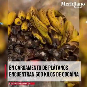 En cargamento de plátanos encuentran 600 kilos de cocaína – España - Vigilancia Aduanera - puerto de Málaga, en el sur de España – meridiano regional – noticias colombia - Meridiano Regional En cargamento de plátanos encuentran 600 kilos de cocaína – España - Vigilancia Aduanera - puerto de Málaga, en el sur de España – meridiano regional – noticias colombia
