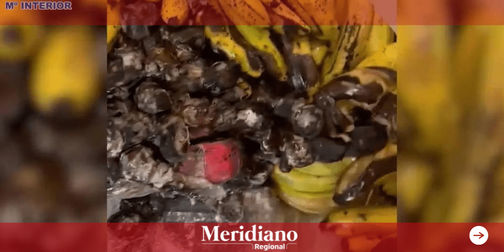 En cargamento de plátanos encuentran 600 kilos de cocaína – España - Vigilancia Aduanera - puerto de Málaga, en el sur de España – meridiano regional – noticias colombia