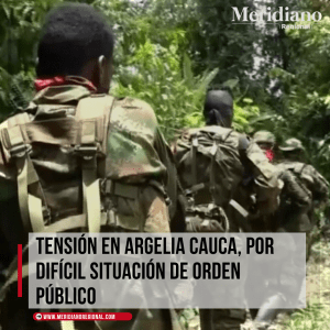 Noticias Argelia cauca - rutas de narcotráfico - noticias cauca - vereda los pinos - vereda mundo nuevo - Jhonatan Patiño - meridiano regional - meridiano cauca - Meridiano Regional Noticias-Argelia-cauca-rutas-de-narcotrafico-noticias-cauca-vereda-los-pinos-vereda-mundo-nuevo-Jhonatan-Patino-meridiano-regional-meridiano-cauca
