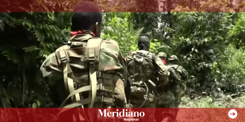 Noticias-Argelia-cauca-rutas-de-narcotrafico-noticias-cauca-vereda-los-pinos-vereda-mundo-nuevo-Jhonatan-Patino-meridiano-regional-meridiano-cauca