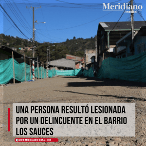 persona lesionada en el barrio los sauces - comuna 5 - meridiano regional - noticias cauca - noticias valle - Meridiano Regional persona lesionada en el barrio los sauces - comuna 5 - meridiano regional - noticias cauca - noticias valle