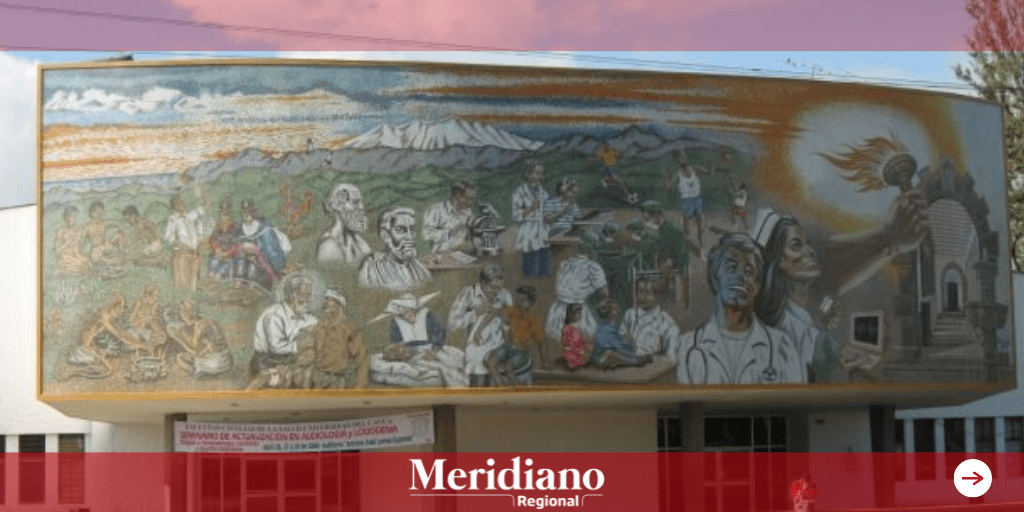 Planes de contingencia frente la renuncia de docentes clínicos del programa de Medicina de la Universidad del Cauca