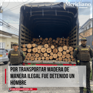 Por-transportar-madera-de-manera-ilegal-fue-detenido-un-hombre-–-meridiano-regional-–-noticias-timbio-madera-tipo-Eucalipto-–-deforestacion-ilegal-noticias