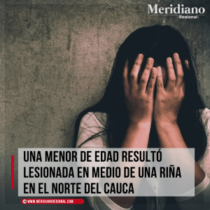 menor-de-edad-resulto-lesionada-en-rina-en-el-norte-del-Cauca-meridiano-regional-Puerto-Tejada-norte-de-santander