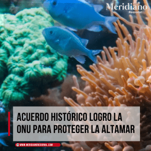 primer-tratado-internacional-de-proteccion-de-la-altamar-combatir-las-amenazas-que-pesan-en-ecosistemas-vitales-para-la-humanidad-–-meridiano-regional-2030