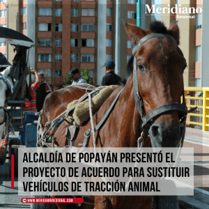 meridiano regional - Alcaldía de Popayán - sustitución de vehículos de tracción animal - protección y bienestar animal - maltrato animal - noticias popayán
