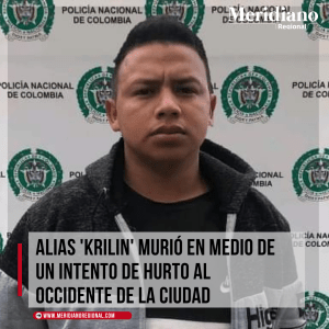meridiano regional - Yoneider Agredo Velasco - alias'Krilin' - vereda de Torres - hurto calificado y agravado