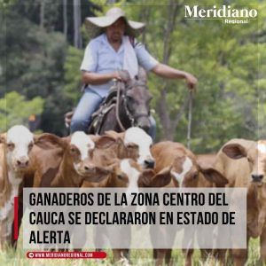 meridiano regional - Hernán Garcés - noticias Popayán - noticias Cajibio - noticias Puracé - Ganaderos de la zona centro del Cauca se declararon en estado de alerta - Meridiano Regional meridiano-regional-Hernan-Garces-noticias-Popayan-noticias-Cajibio-noticias-Purace-Ganaderos-de-la-zona-centro-del-Cauca-se-declararon-en-estado-de-alerta