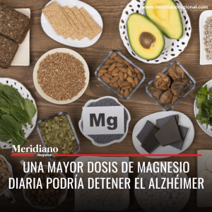 Meridiano regional - Una mayor dosis de magnesio diaria podría detener el alzhéimer - noticias salud- magnesio – consumir magnesio - Meridiano Regional Meridiano regional - Una mayor dosis de magnesio diaria podría detener el alzhéimer - noticias salud- magnesio – consumir magnesio