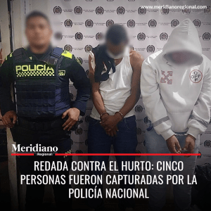 meridiano regional - Redada contra el hurto -  Cinco personas fueron capturadas por la policía nacional - noticias cauca - noticias colombia