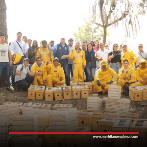 meridiano regional - Se fortalece el sector apícola caucano con inversión desde el Gobierno Departamental - Gobernación del Cauca - Alianzas para Avanzar - AGROMACIZO (3) - Meridiano Regional meridiano regional - Se fortalece el sector apícola caucano con inversión desde el Gobierno Departamental - Gobernación del Cauca - Alianzas para Avanzar - AGROMACIZO (3)